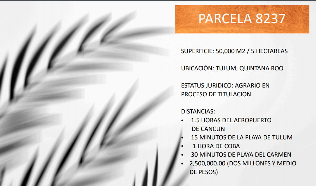 5 HECTAREAS EN TULUM | PARCELAS, foto 1 de 7