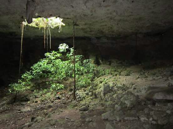 9 de 12: Este cenote tiene cuevas con agua cristalina