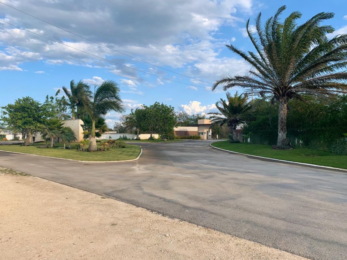 6 de 24: ENTRADA DEL TERRENO EN VENTA DESDE CARRETERA PROGRESO 3