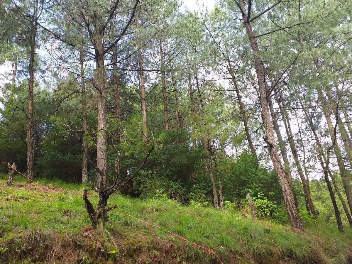 Terreno en venta en Rancho San Nicolás