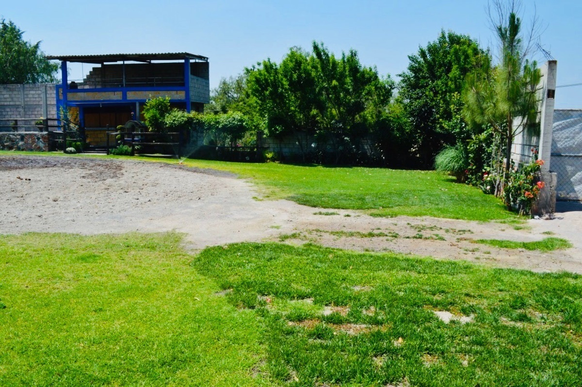 4 de 14