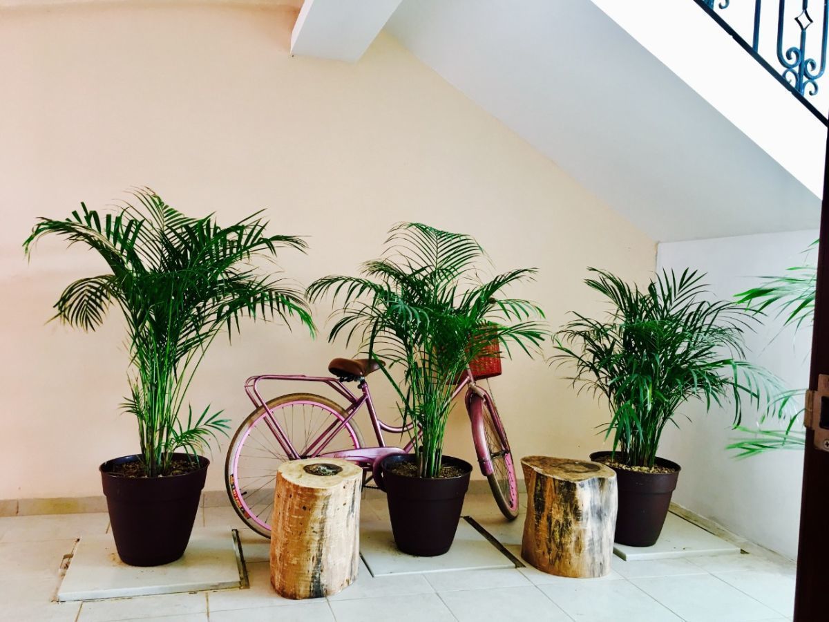 Apartamento em Montes de Ame, Mérida, foto 9 de 20
