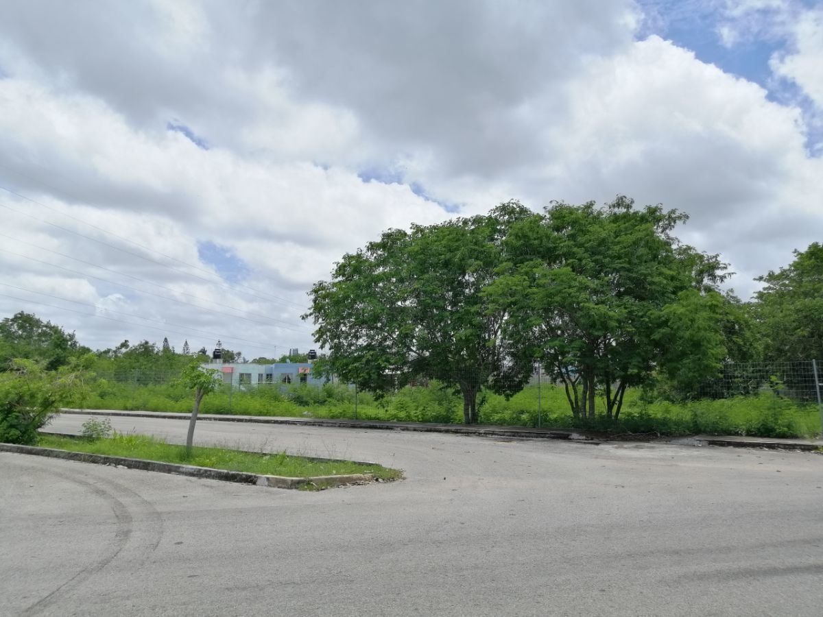 GRAN TERRENO EN VENTA EN MERIDA