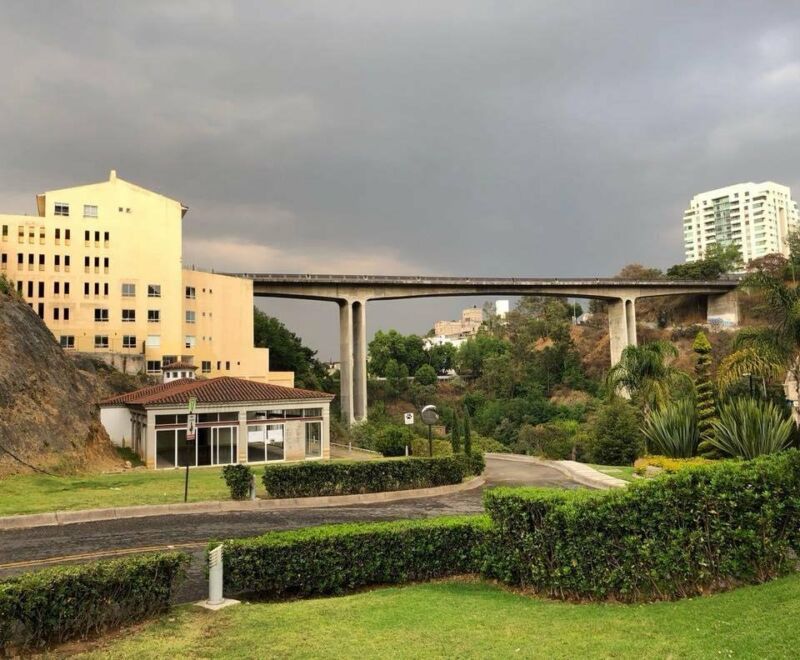 12 de 15