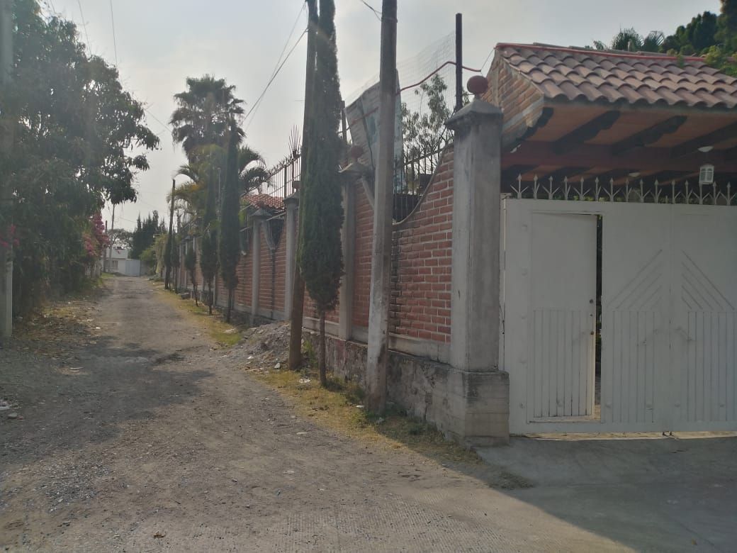 16 de 49