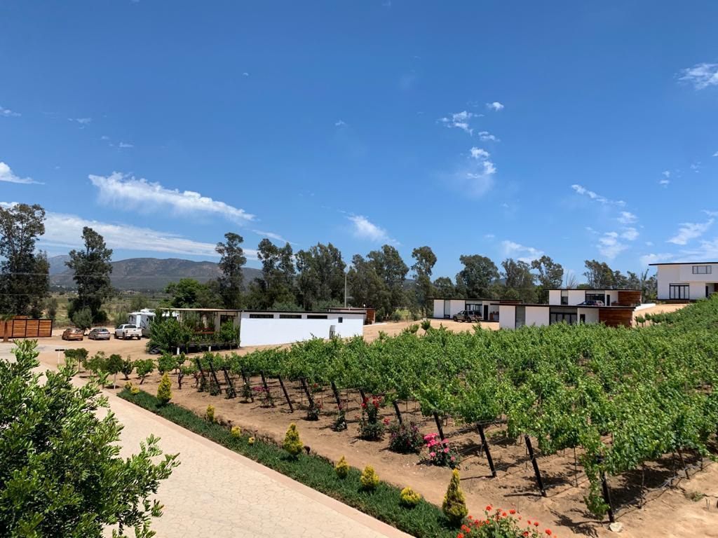 Hotel en Venta con Hermosos Viñedos