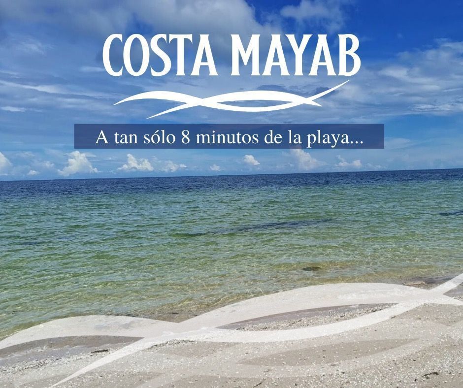 Imagen 1 de 8