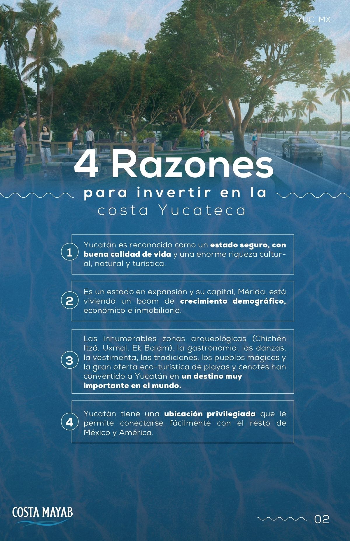 Imagen 8 de 8