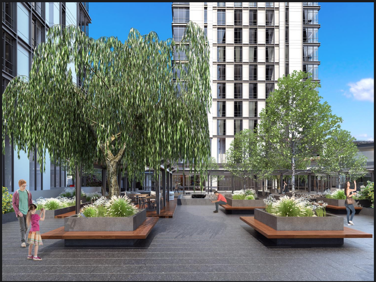 17 de 22: Jardín central