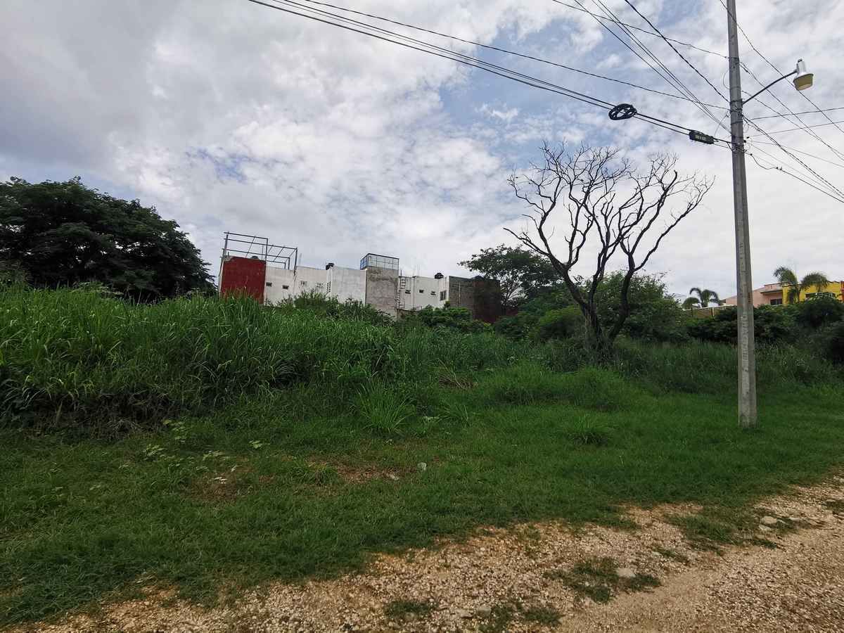1 de 6