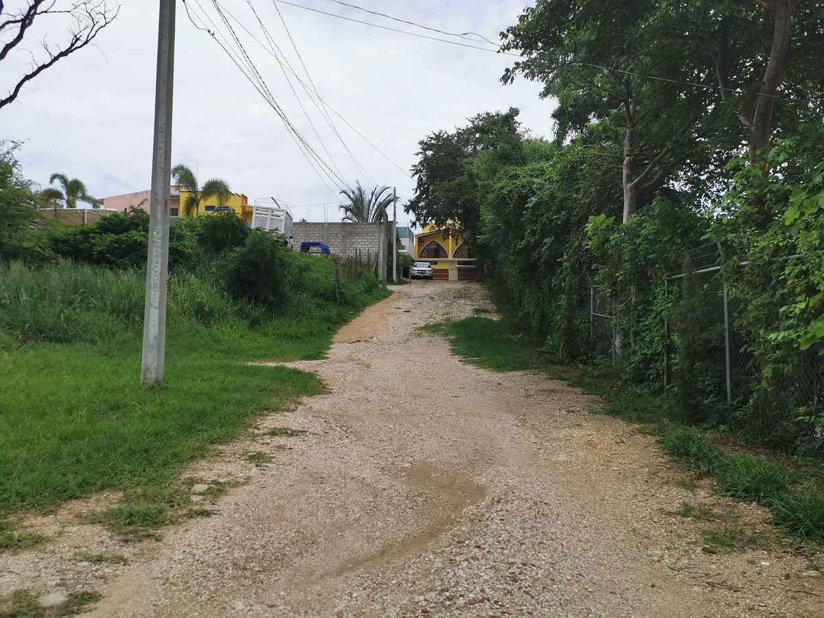 2 de 6