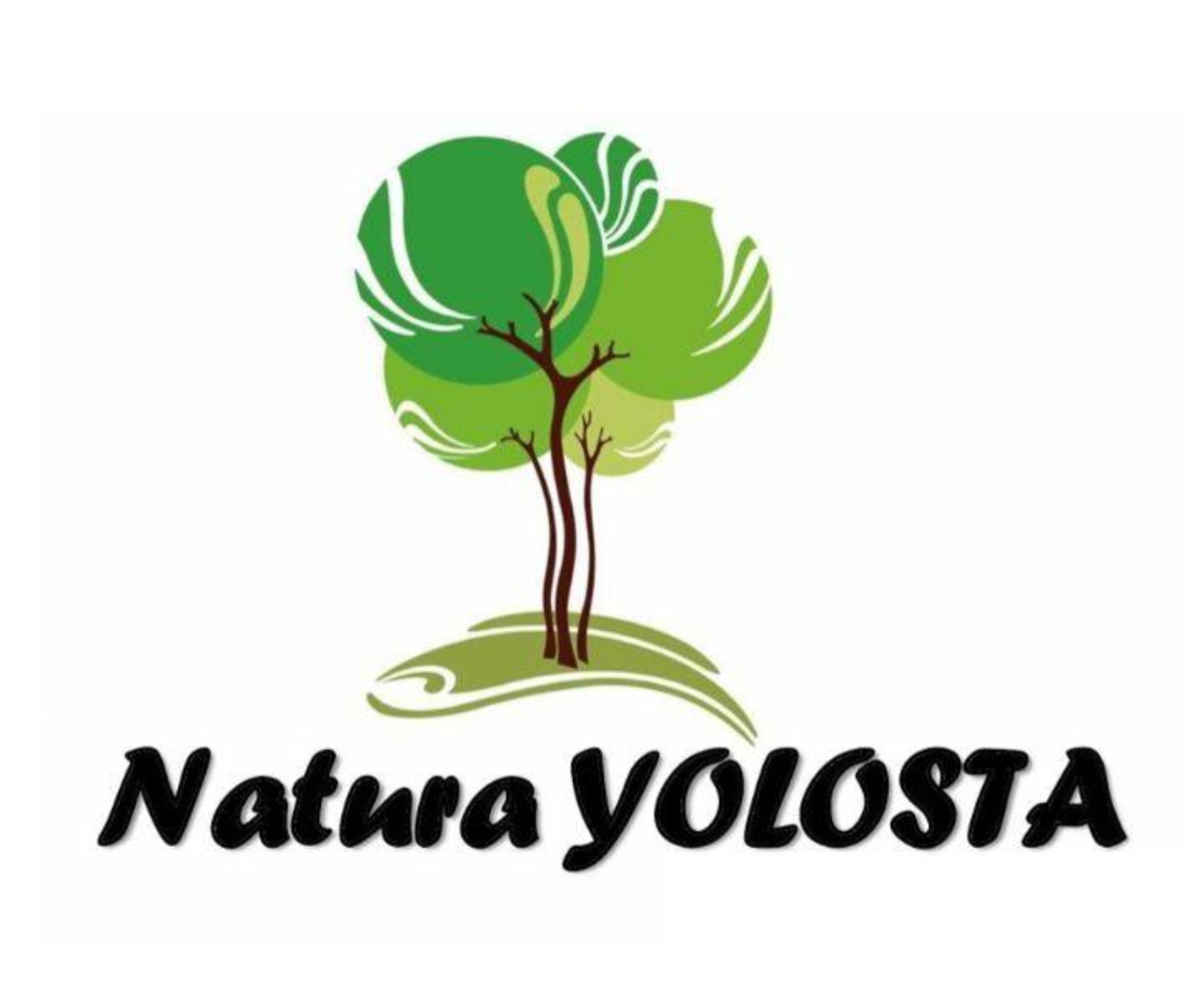 TERRENOS EN VENTA EN NATURA YOLOSTA - foto 4