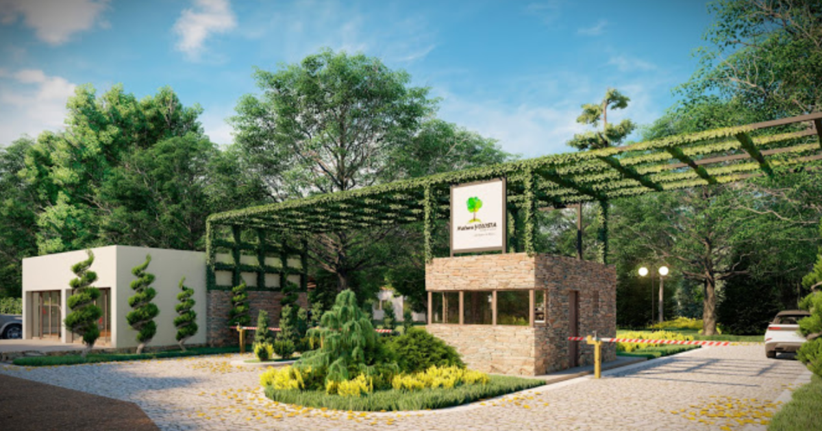 TERRENOS EN VENTA EN NATURA YOLOSTA - foto 1