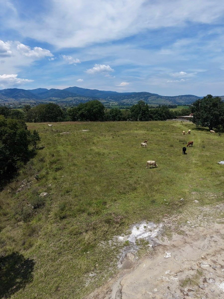 Terreno en El Palomar, Villa del Carbón, foto 2 de 9