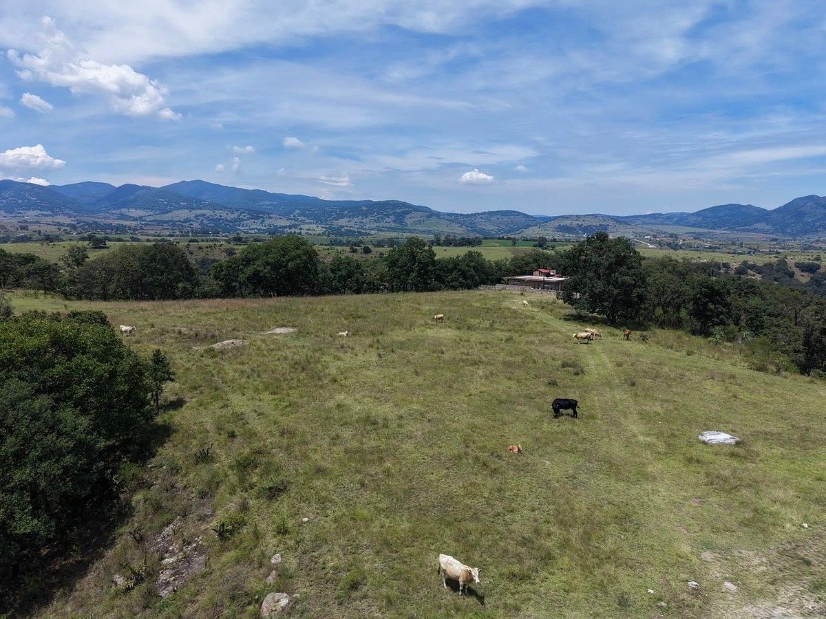 Terreno en El Palomar, Villa del Carbón, foto 8 de 9