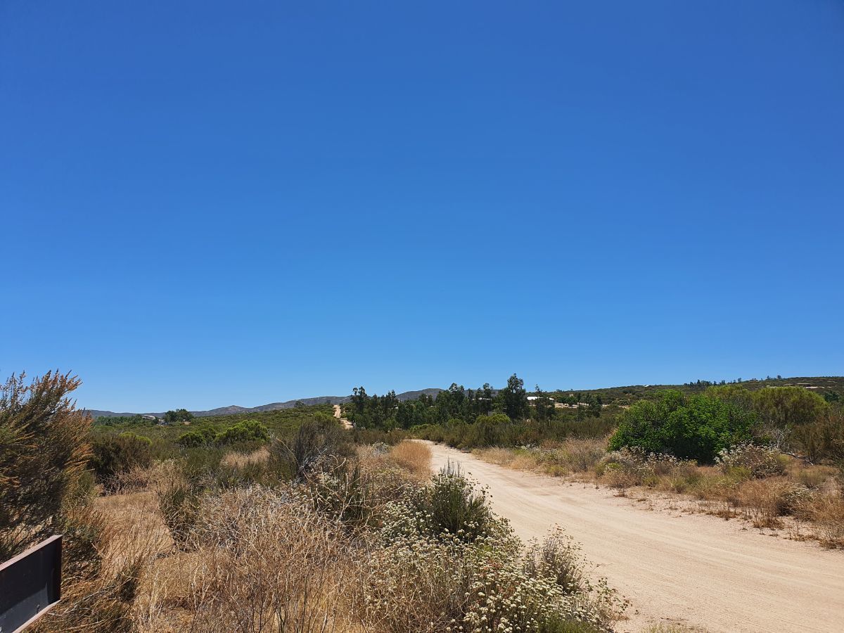 2 de 8