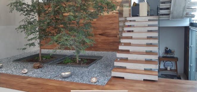 31 of 36: ingreso recibidor con árboles y piedra natural