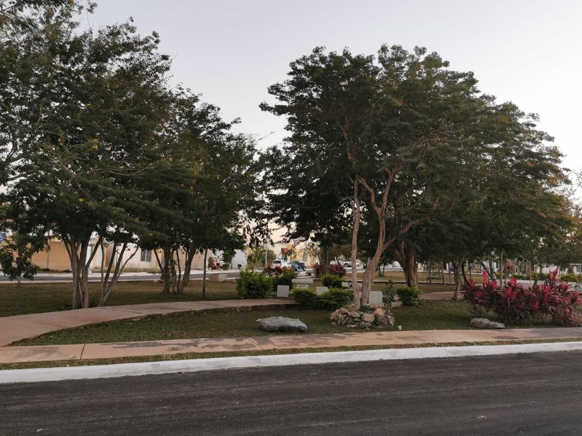 14 de 19