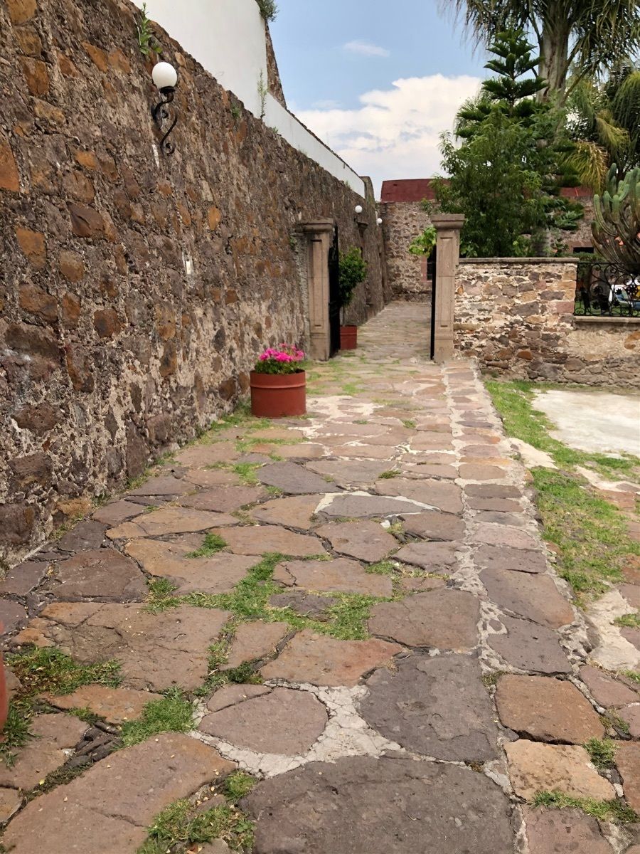 5 de 24