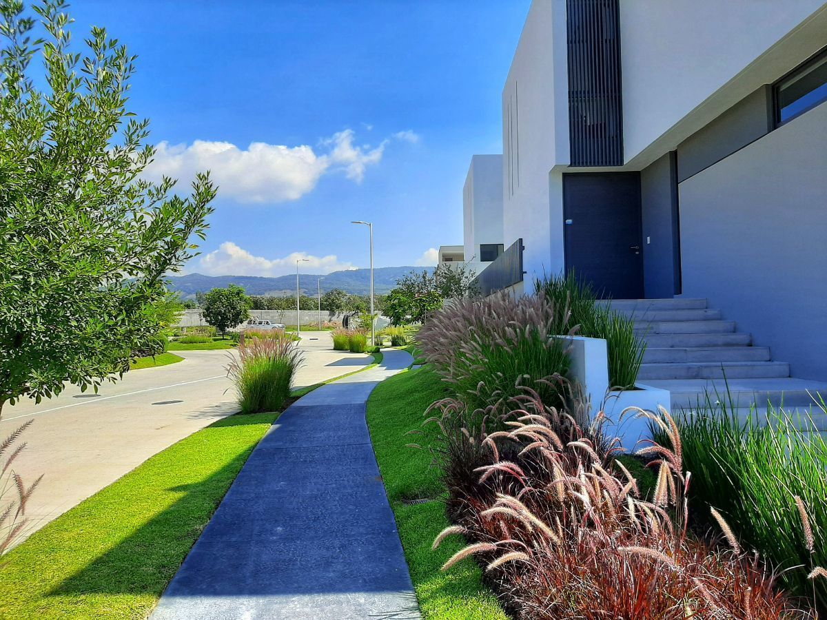2 de 11: Preciosos jardines