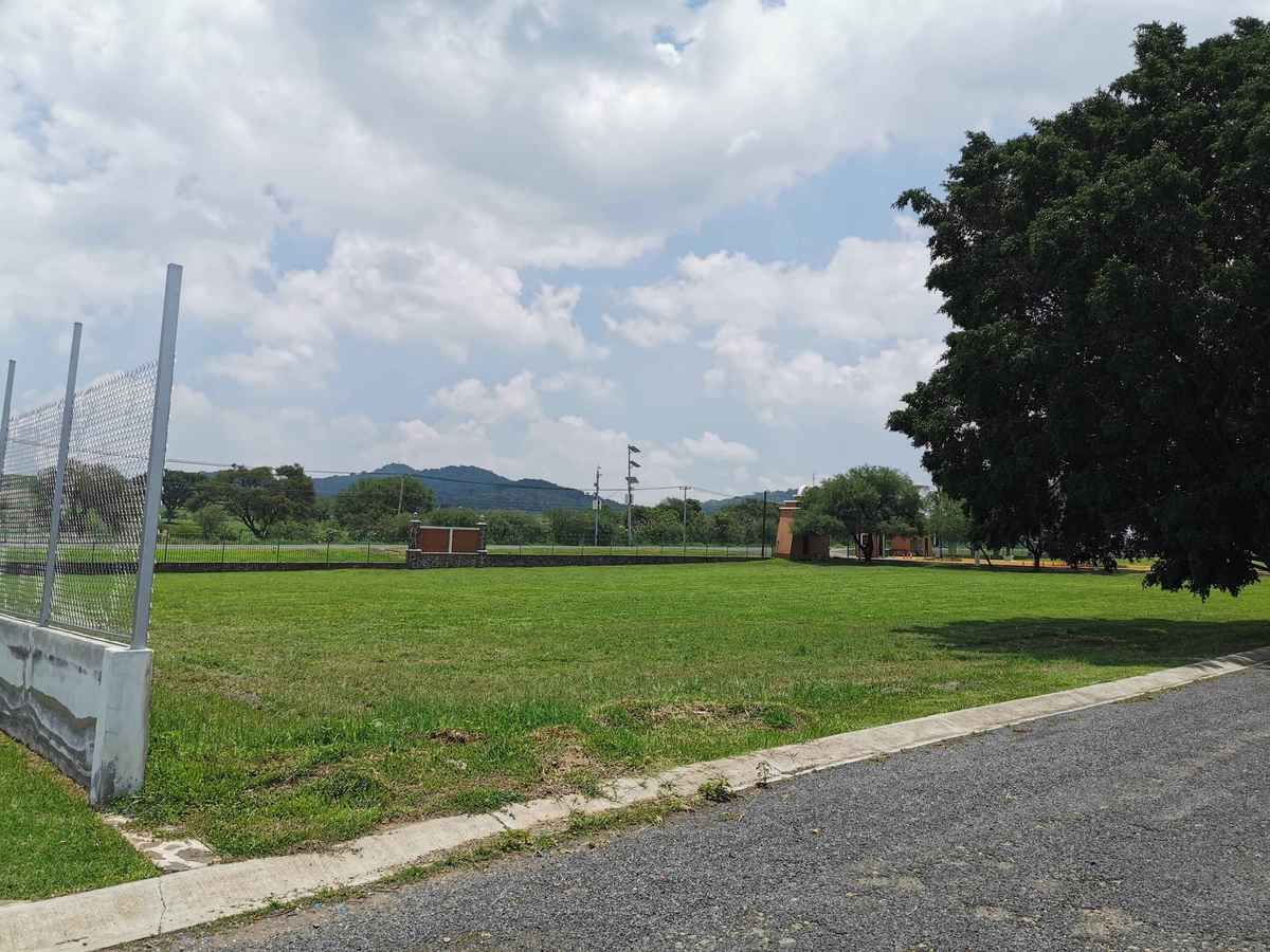 5 de 10