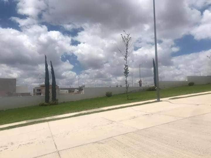 5 de 21