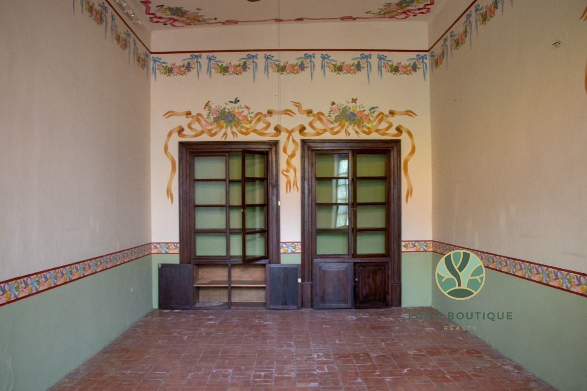 5 de 17