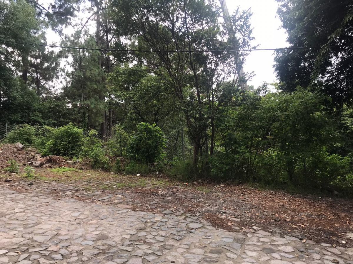 Terreno en Avandaro - foto 3