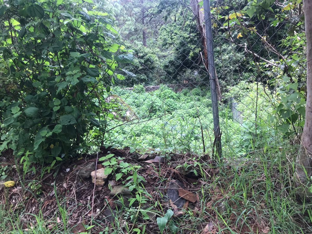 Terreno en Avandaro - foto 2