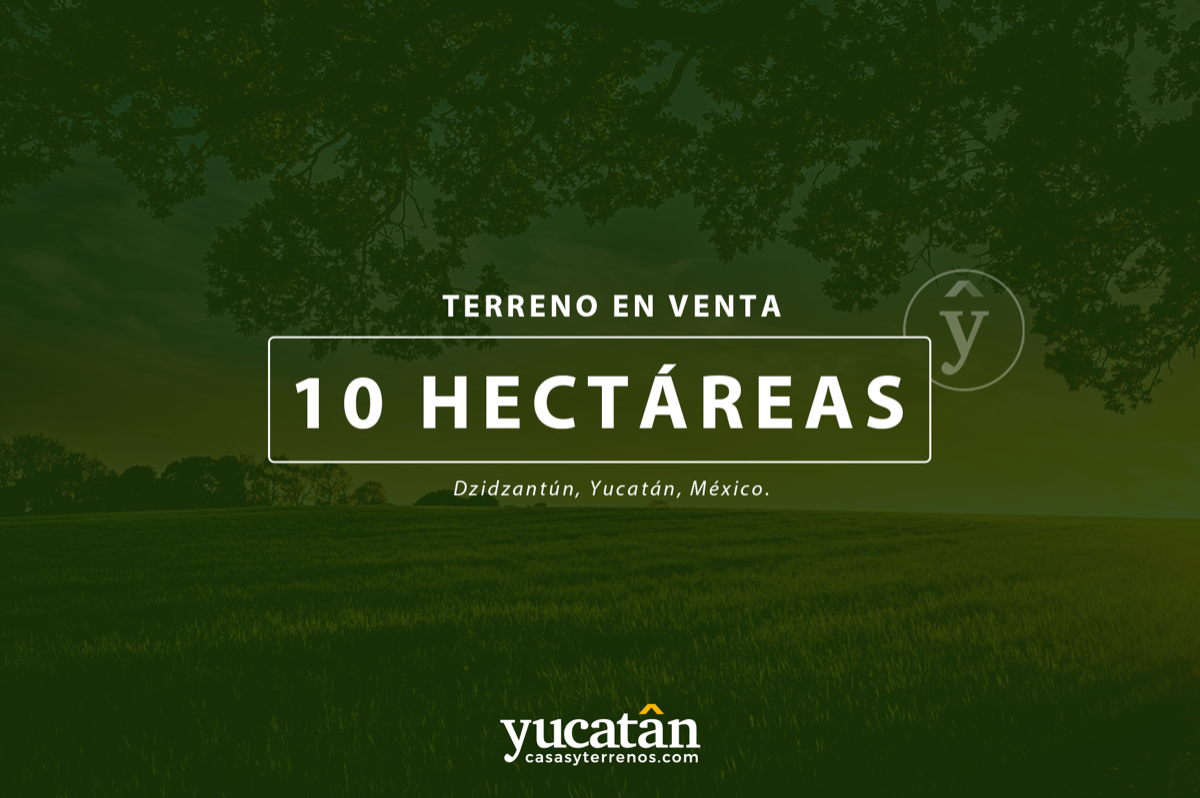 1 de 16