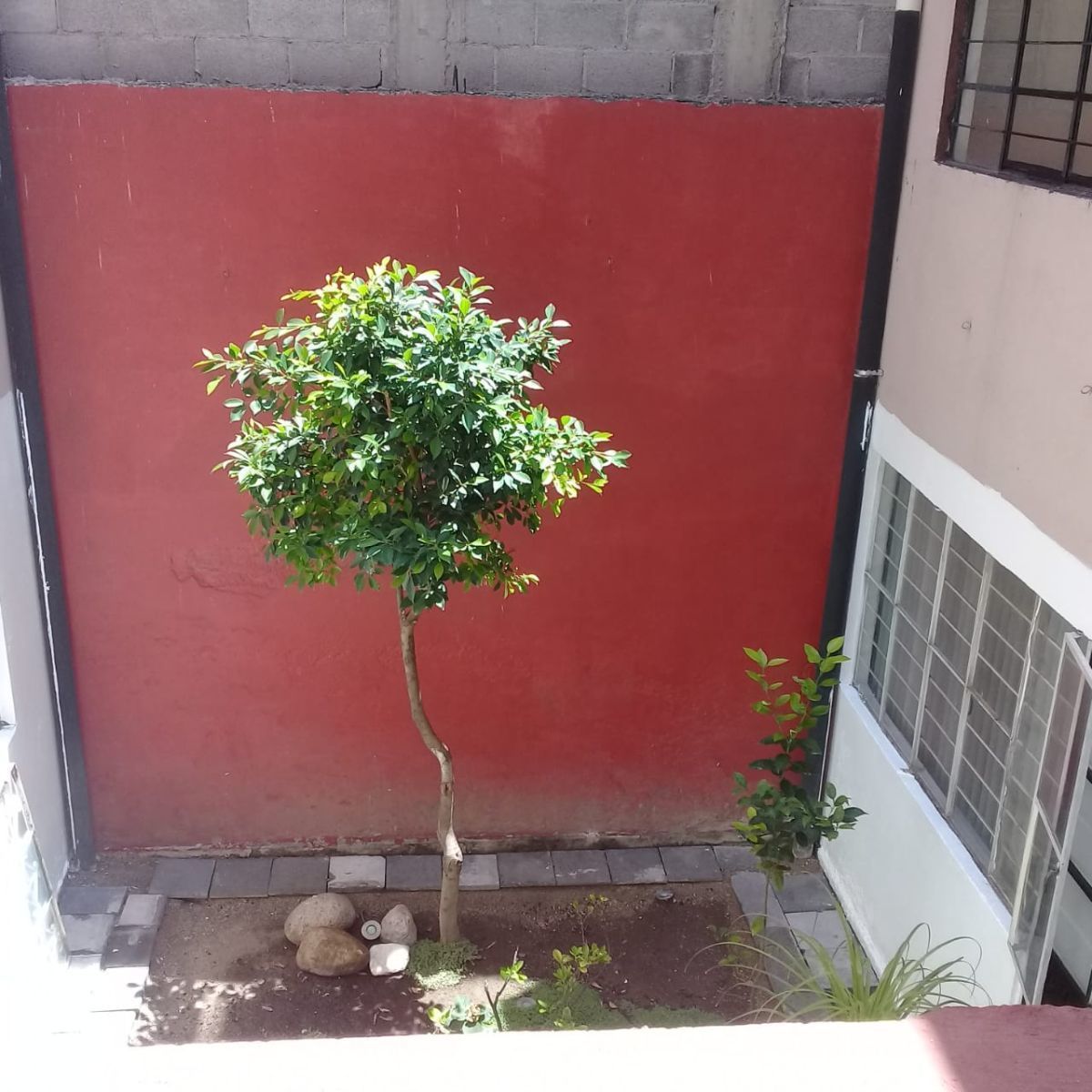 8 de 9