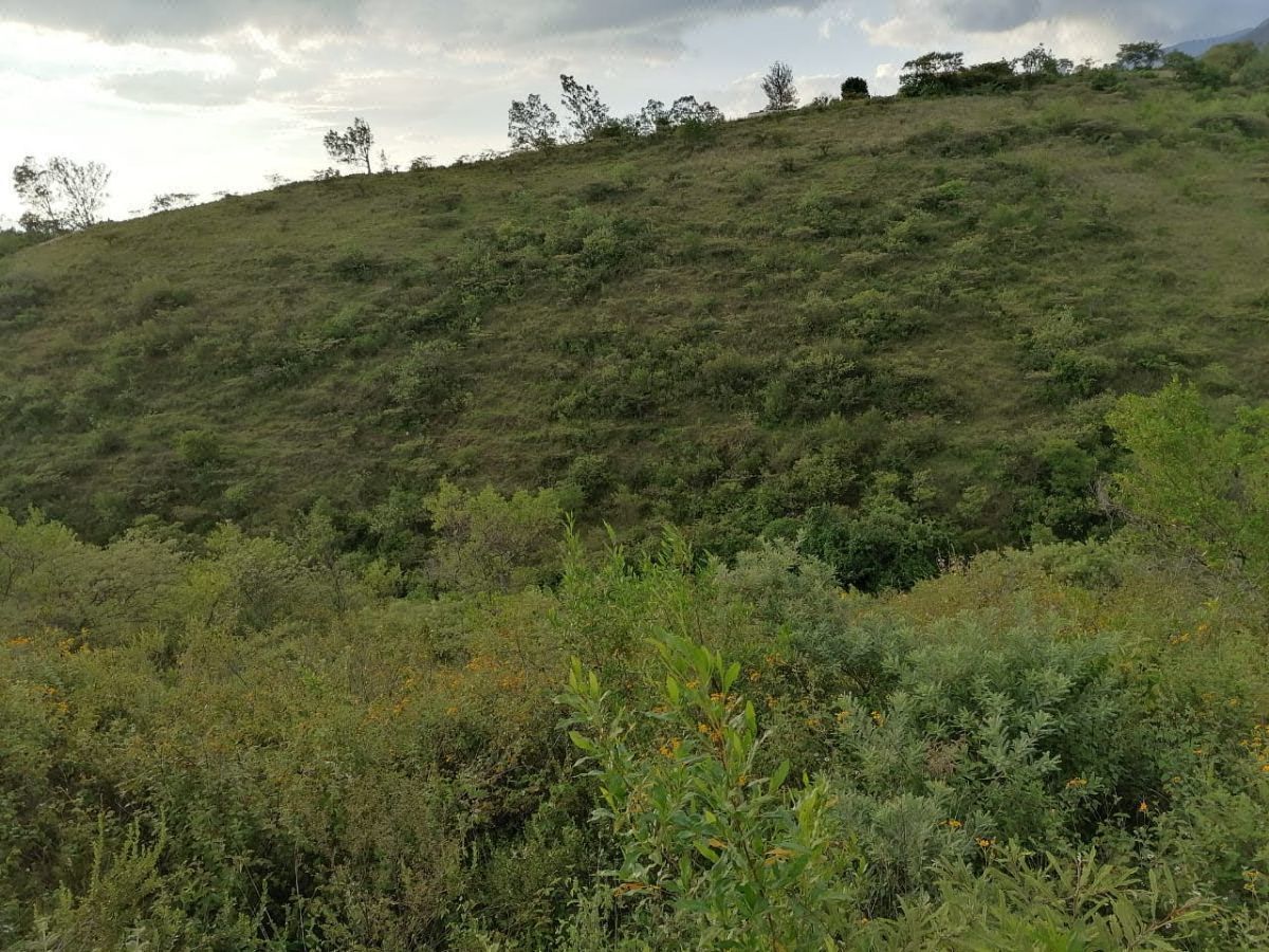Venta de Terreno en San Pablo Etla,oax.