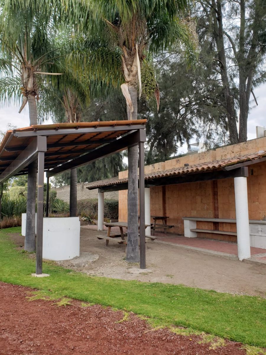6 de 26
