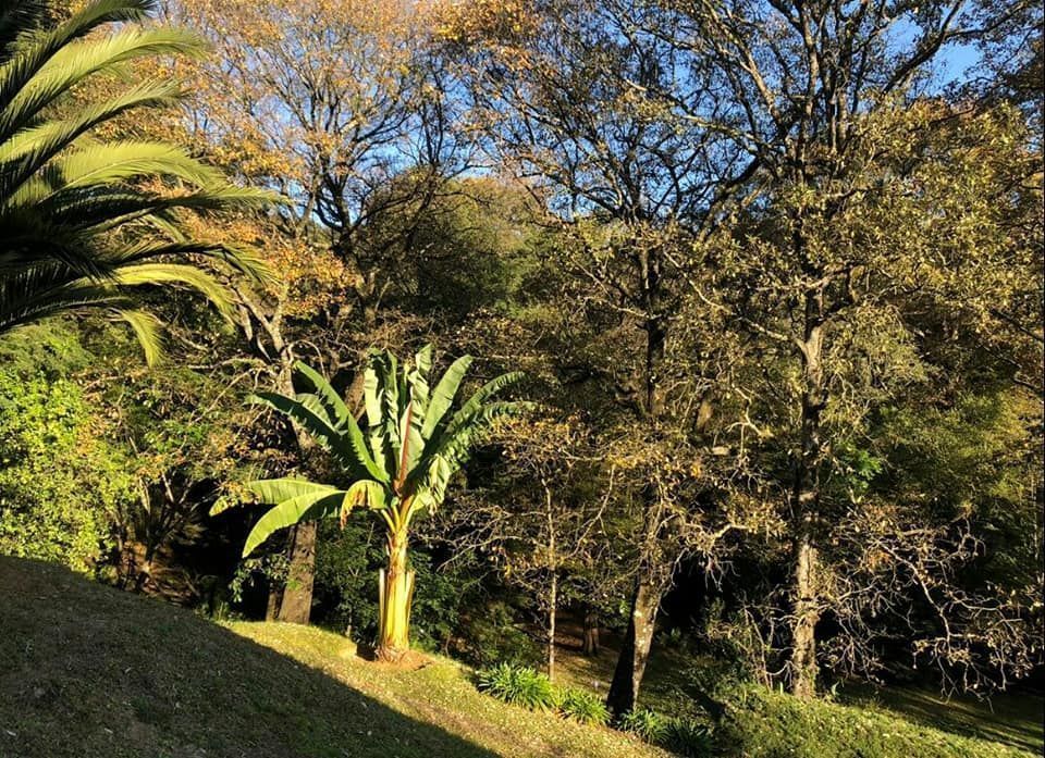 Excelente terreno en zarco a 10 minutos del centro de tenancingo