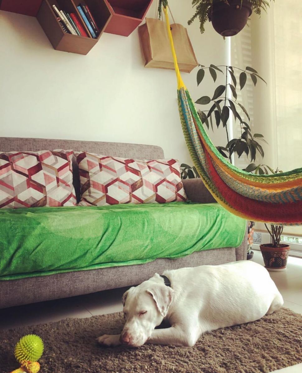 7 de 19: #PARQUESPOLANCO #VENTA #CARMENLABORIN #FORSALE