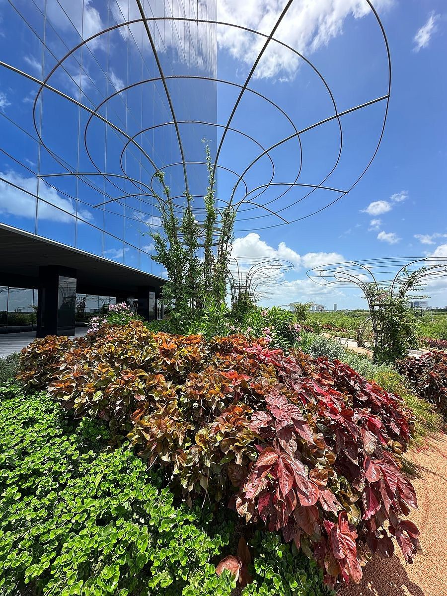 Oficina en Temozón Norte, Mérida, foto 20 de 25