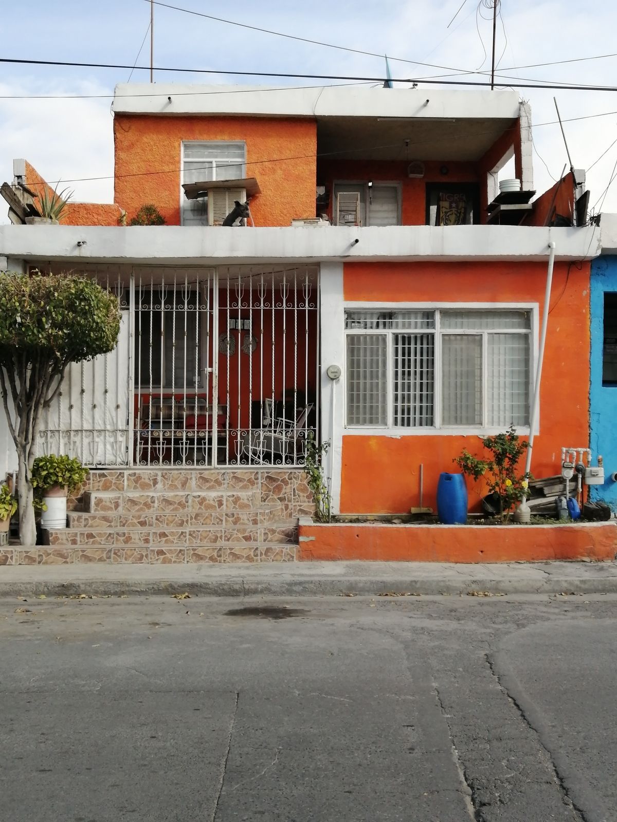 1 de 1