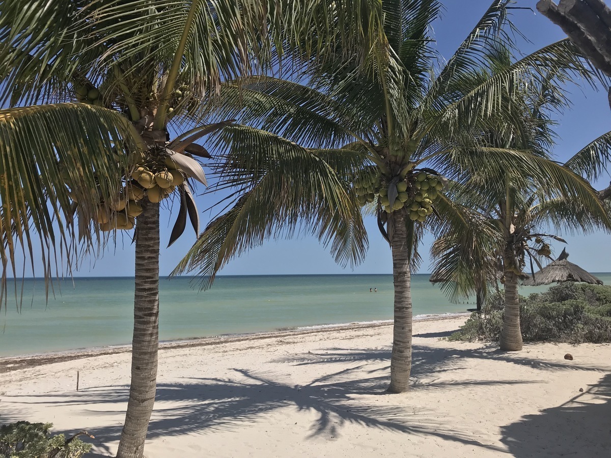 AllProperty - Terreno de 10 x 40 Segunda Fila Playas en San Benito, Costas de Yucatan