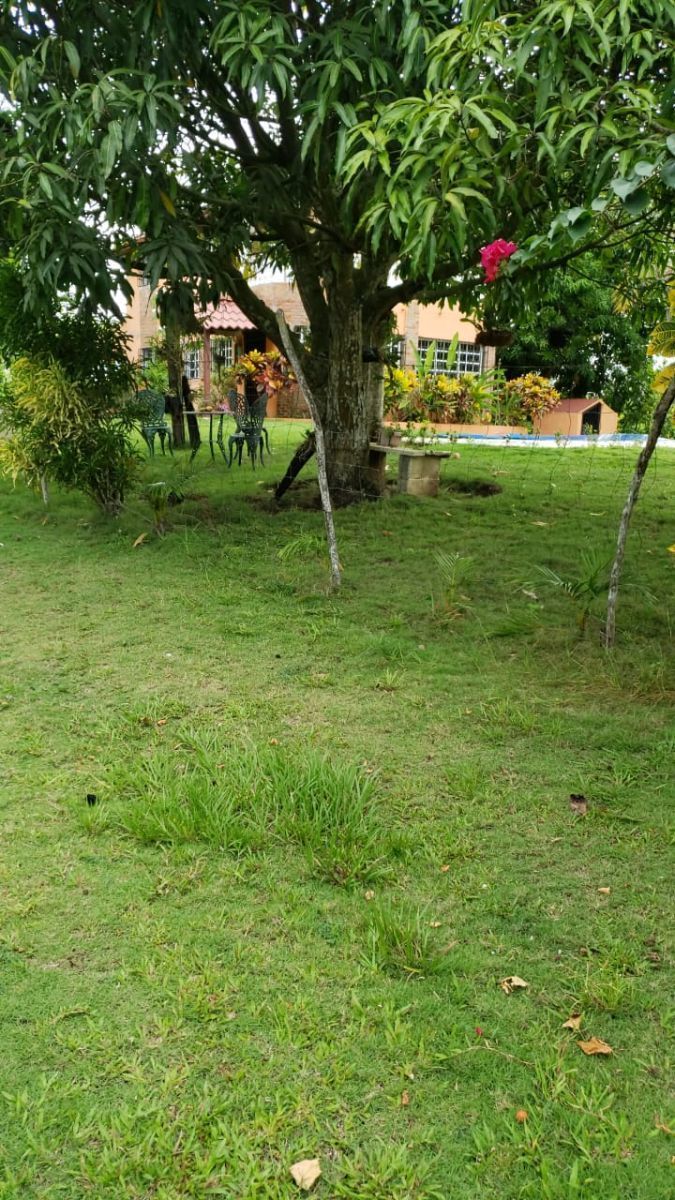 Lot in Santo Domingo