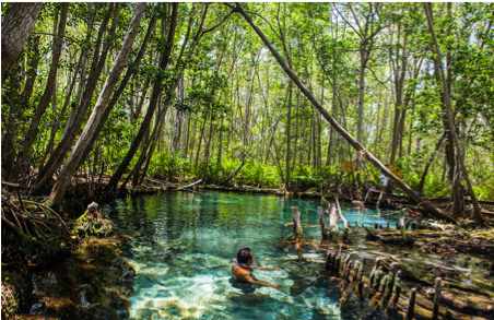 4 de 8: A solo minutos podrás encontrar bellos Cenotes
