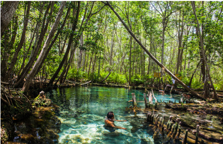 4 of 7: A solo minutos podrás encontrar bellos Cenotes