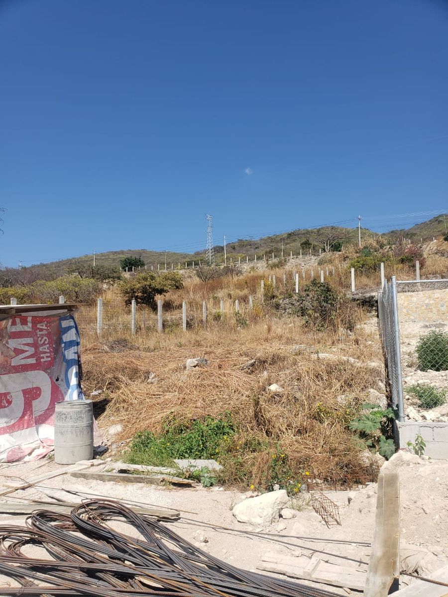 5 de 6