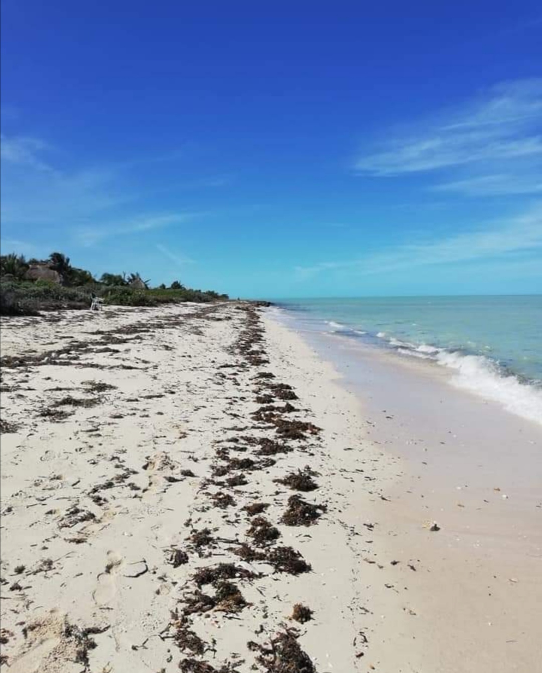3 de 6