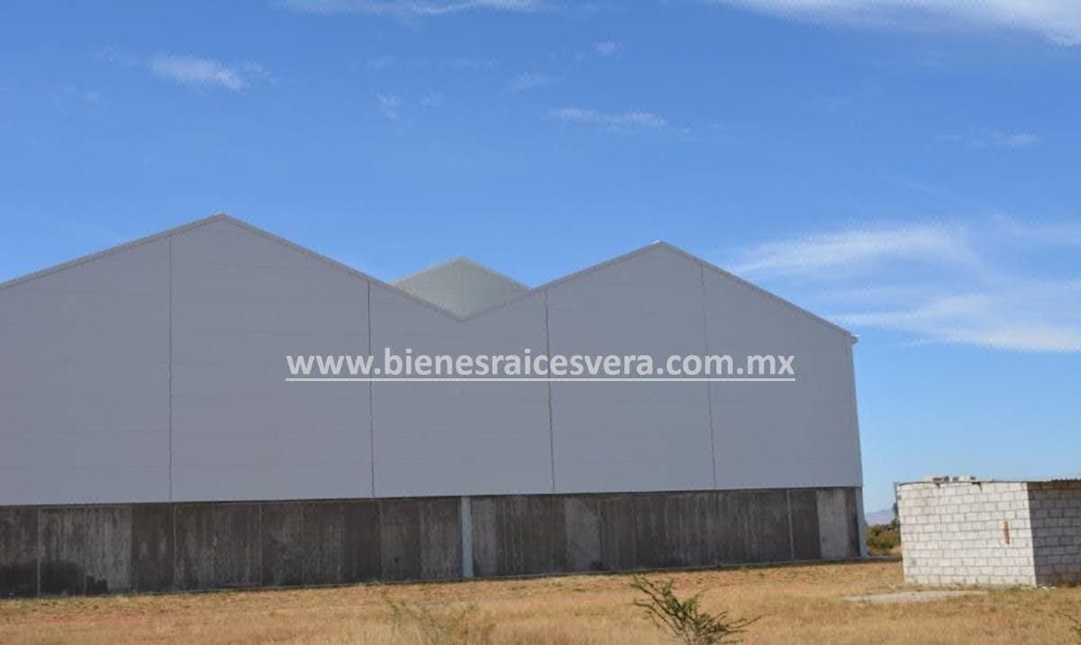 Terreno 62 Ha. con Nave Industrial en Dolores Hidalgo