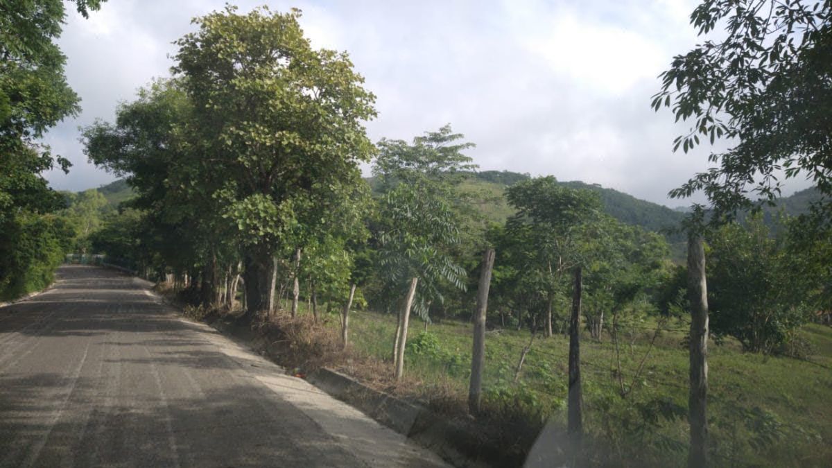 Venta Rancho/Finca San Fernando 27.32 hectáreas a 25 min. Tuxtla