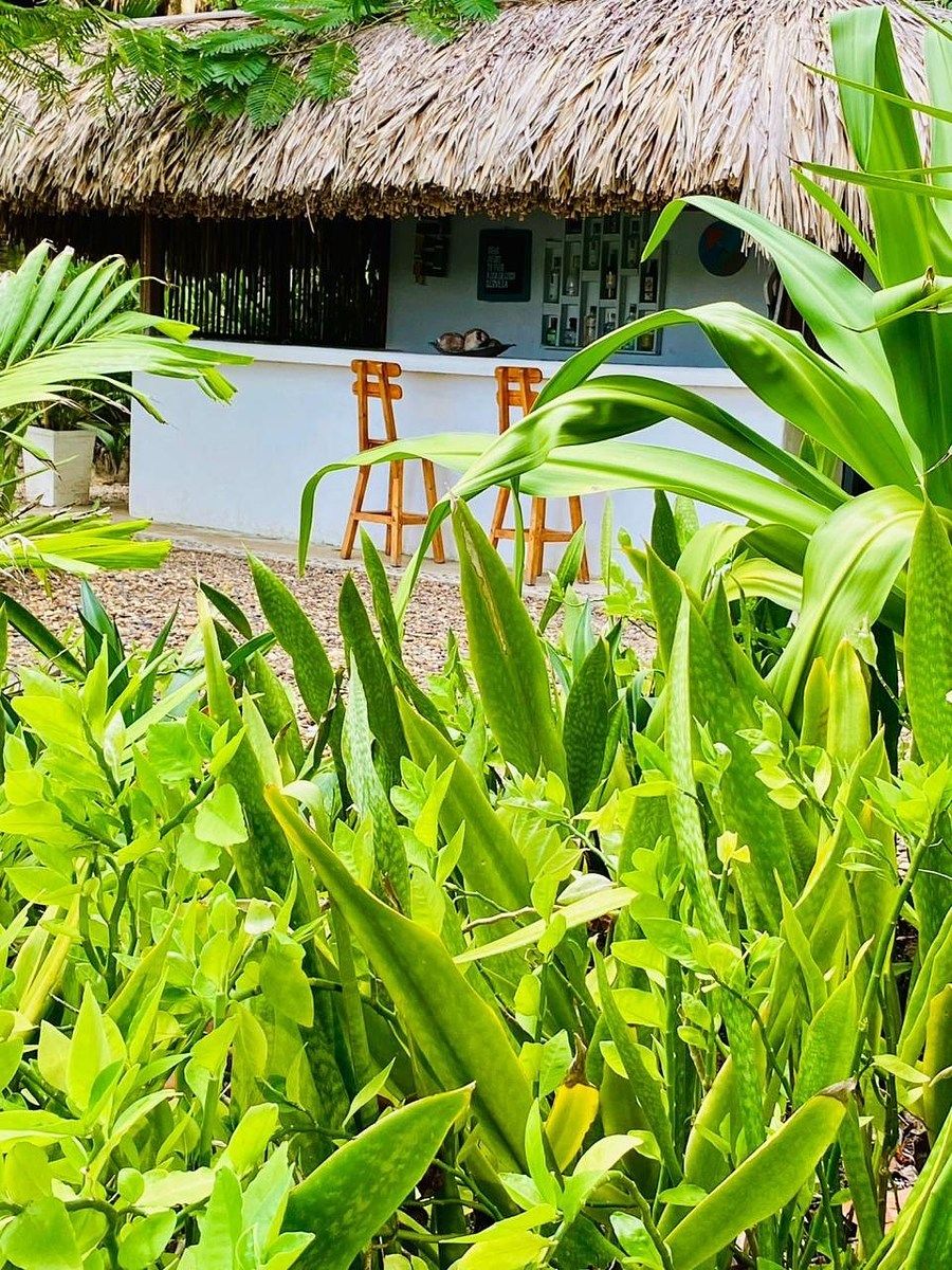 Casa en Barú, Cartagena, foto 8 de 24