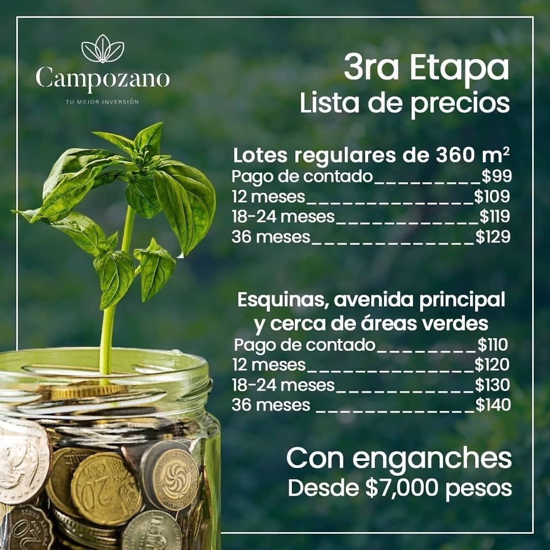 2 de 12