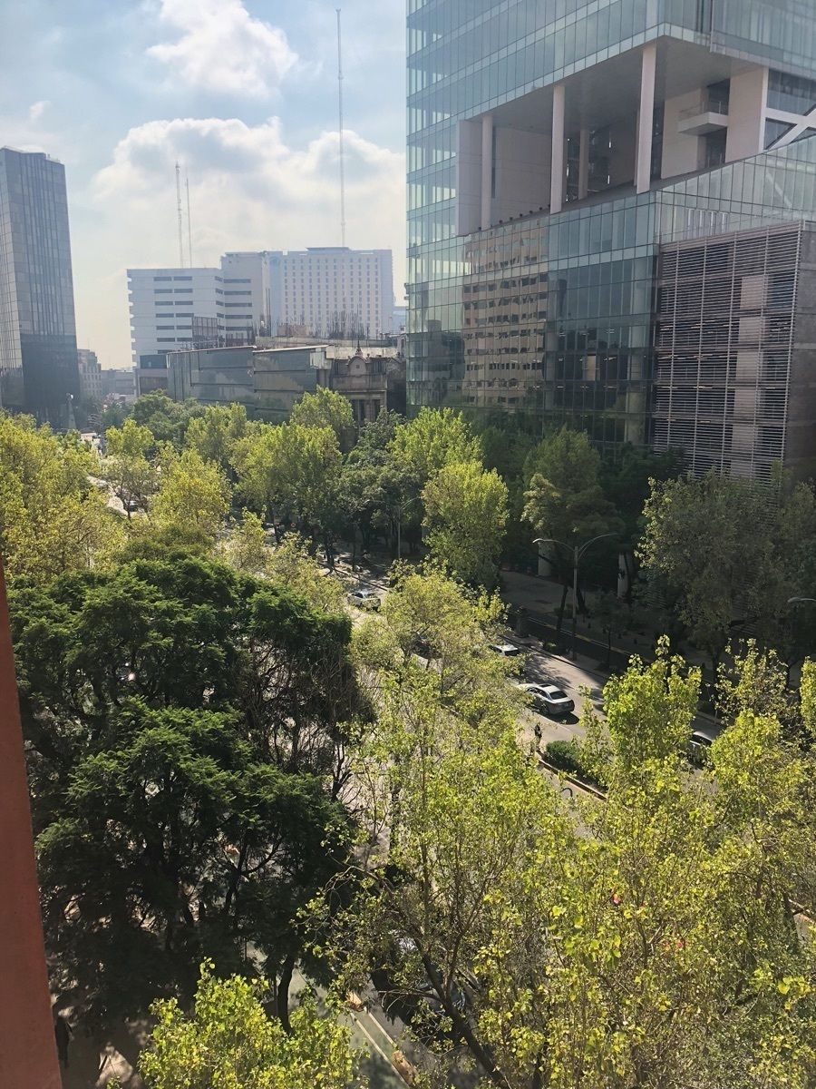 Sensacional vista arbolada de Paseo de la Reforma