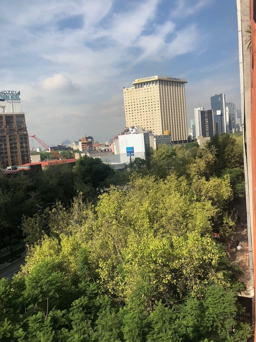 Sensacional vista arbolada de Paseo de la Reforma
