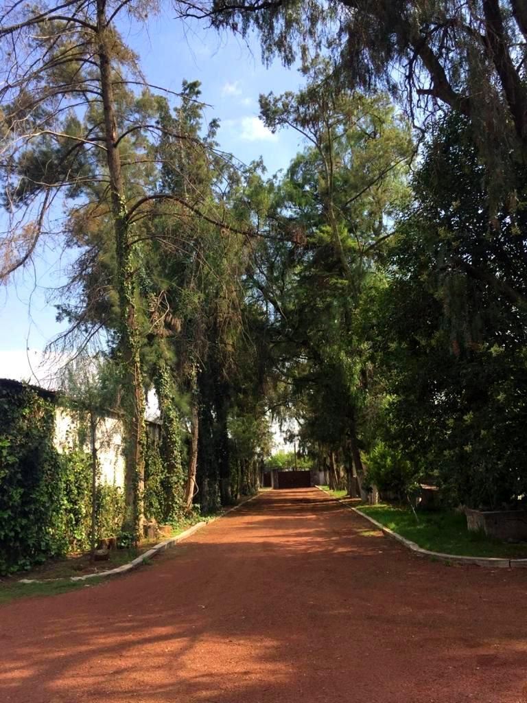 5 de 45